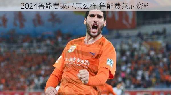 鲁能费莱尼怎么样,鲁能费莱尼资料