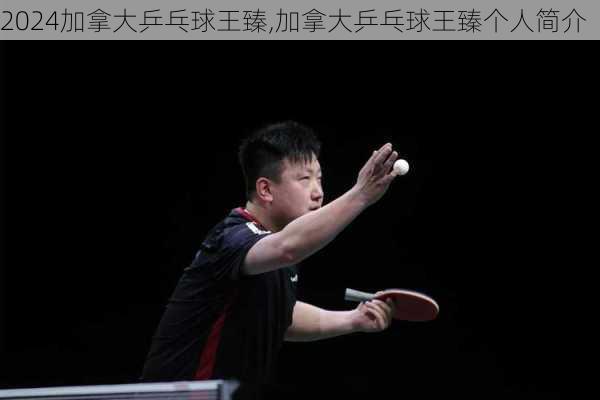加拿大乒乓球王臻,加拿大乒乓球王臻个人简介