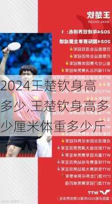 王楚钦身高多少,王楚钦身高多少厘米体重多少斤