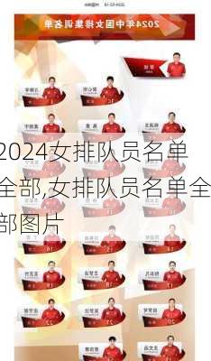 女排队员名单全部,女排队员名单全部图片