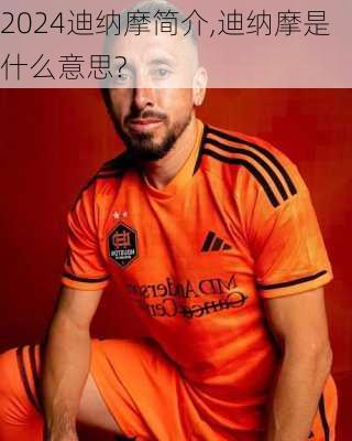 迪纳摩简介,迪纳摩是什么意思?
