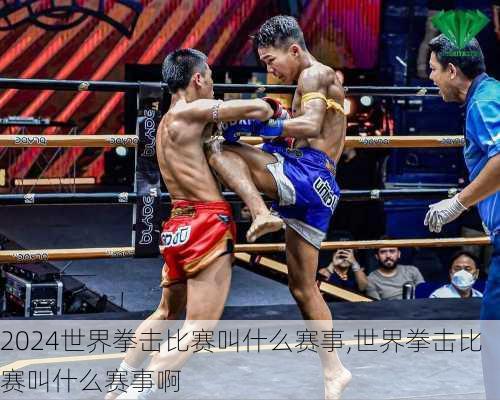 世界拳击比赛叫什么赛事,世界拳击比赛叫什么赛事啊