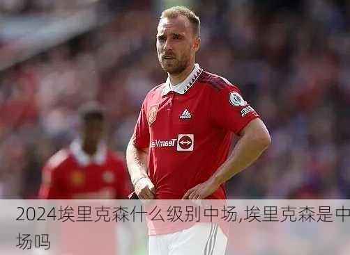 埃里克森什么级别中场,埃里克森是中场吗