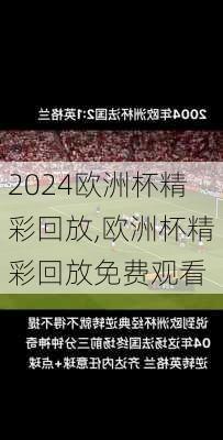 欧洲杯精彩回放,欧洲杯精彩回放免费观看