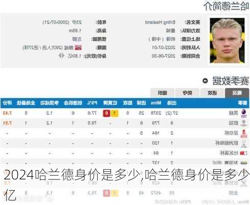 哈兰德身价是多少,哈兰德身价是多少亿