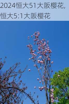 恒大51大阪樱花,恒大5:1大阪樱花