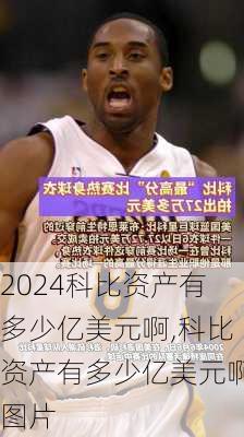 科比资产有多少亿美元啊,科比资产有多少亿美元啊图片