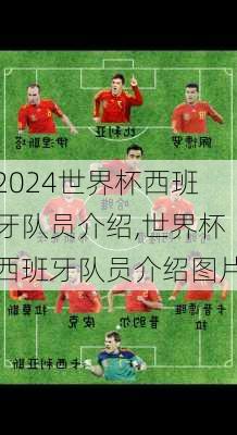 世界杯西班牙队员介绍,世界杯西班牙队员介绍图片