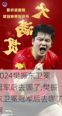 樊振东卫冕冠军后去哪了,樊振东卫冕冠军后去哪了啊