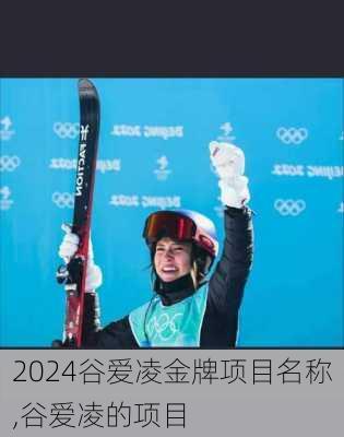 谷爱凌金牌项目名称,谷爱凌的项目