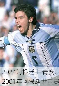 阿根廷 世青赛,2001年阿根廷世青赛