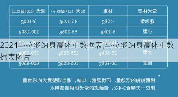 马拉多纳身高体重数据表,马拉多纳身高体重数据表图片