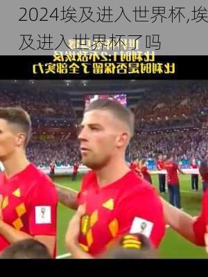 埃及进入世界杯,埃及进入世界杯了吗