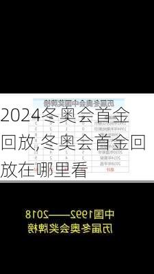 冬奥会首金回放,冬奥会首金回放在哪里看