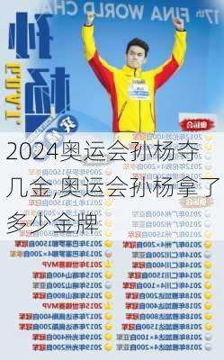 奥运会孙杨夺几金,奥运会孙杨拿了多少金牌