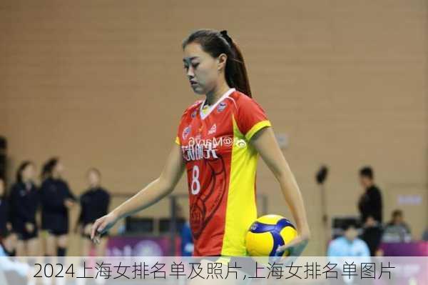 上海女排名单及照片,上海女排名单图片