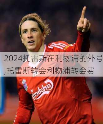 托雷斯在利物浦的外号,托雷斯转会利物浦转会费