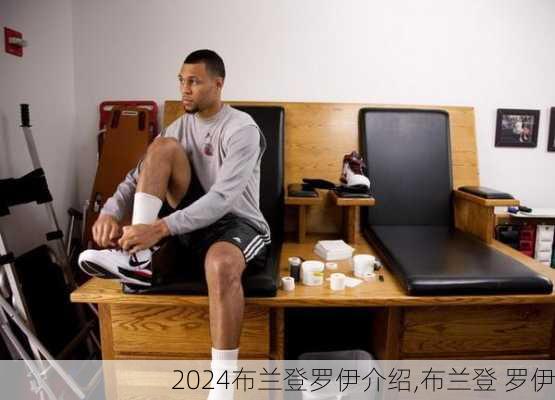布兰登罗伊介绍,布兰登 罗伊