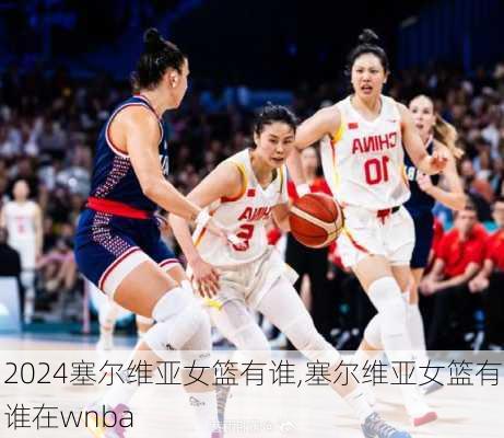 塞尔维亚女篮有谁,塞尔维亚女篮有谁在wnba