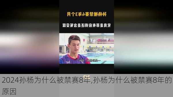 孙杨为什么被禁赛8年,孙杨为什么被禁赛8年的原因