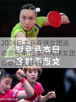 日本乒乓球女团运动员名单,日本乒乓球女团运动员名单照片
