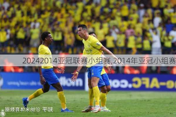 2014亚冠联赛小组赛,2014年亚冠小组赛