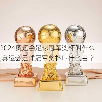 奥运会足球冠军奖杯叫什么,奥运会足球冠军奖杯叫什么名字