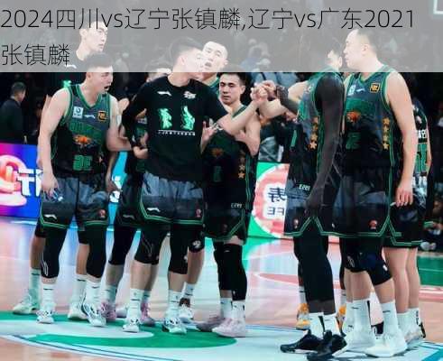 四川vs辽宁张镇麟,辽宁vs广东2021张镇麟