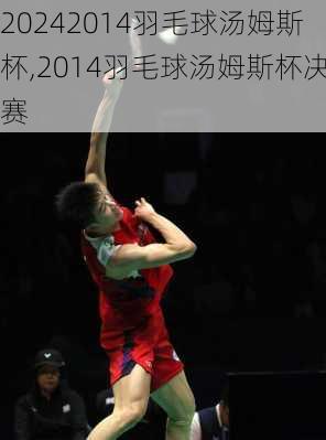 2014羽毛球汤姆斯杯,2014羽毛球汤姆斯杯决赛