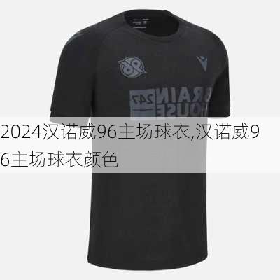 汉诺威96主场球衣,汉诺威96主场球衣颜色