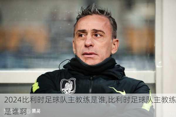比利时足球队主教练是谁,比利时足球队主教练是谁啊