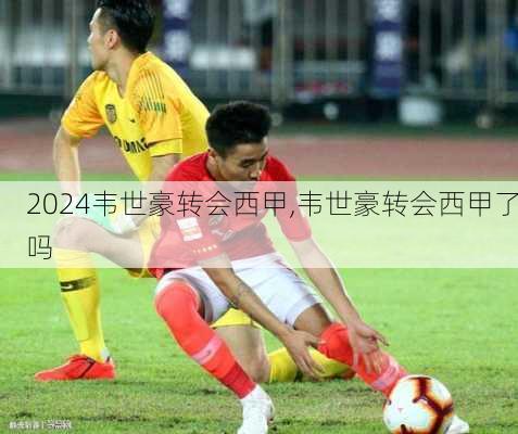 韦世豪转会西甲,韦世豪转会西甲了吗