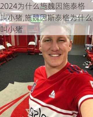 为什么施魏因施泰格叫小猪,施魏因斯泰格为什么叫小猪