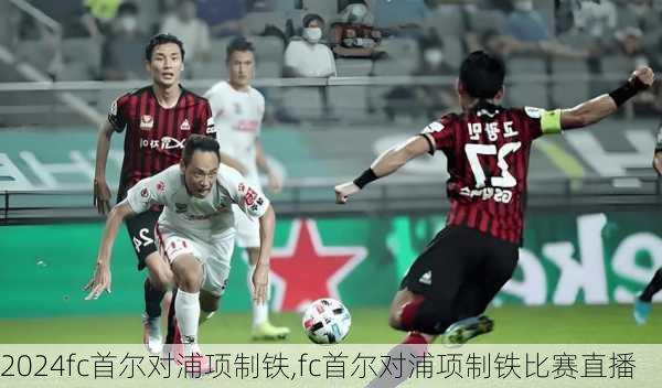fc首尔对浦项制铁,fc首尔对浦项制铁比赛直播