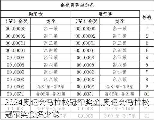 奥运会马拉松冠军奖金,奥运会马拉松冠军奖金多少钱