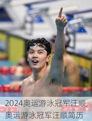 奥运游泳冠军汪顺,奥运游泳冠军汪顺简历