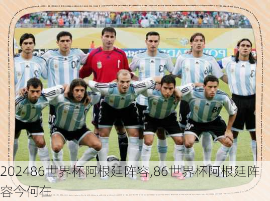 86世界杯阿根廷阵容,86世界杯阿根廷阵容今何在