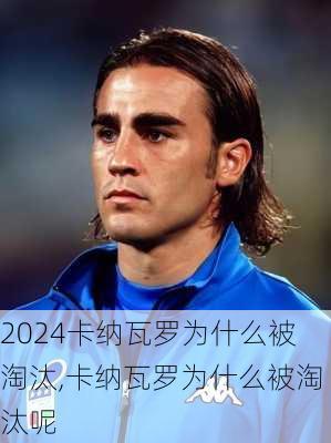 卡纳瓦罗为什么被淘汰,卡纳瓦罗为什么被淘汰呢