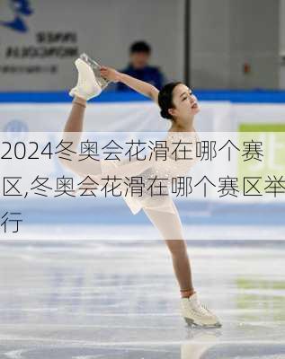 冬奥会花滑在哪个赛区,冬奥会花滑在哪个赛区举行