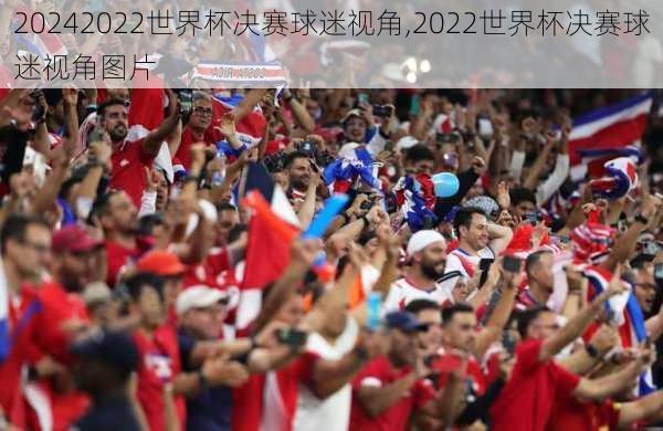 2022世界杯决赛球迷视角,2022世界杯决赛球迷视角图片