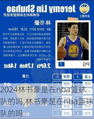 林书豪是在nba篮球队的吗,林书豪是在nba篮球队的吗