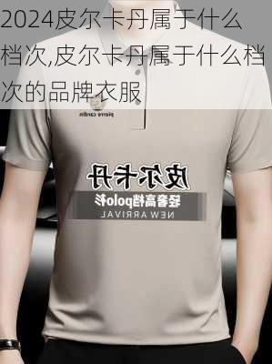 皮尔卡丹属于什么档次,皮尔卡丹属于什么档次的品牌衣服
