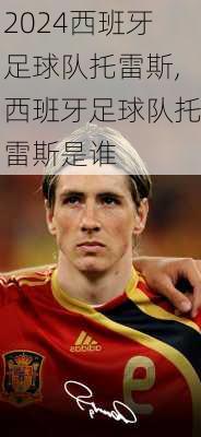 西班牙足球队托雷斯,西班牙足球队托雷斯是谁