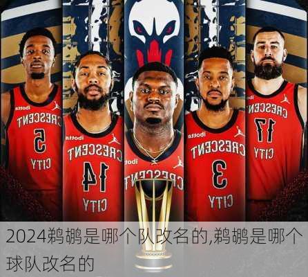 鹈鹕是哪个队改名的,鹈鹕是哪个球队改名的