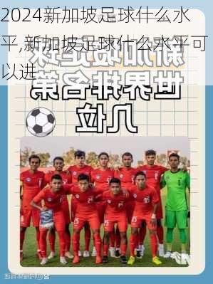 新加坡足球什么水平,新加坡足球什么水平可以进
