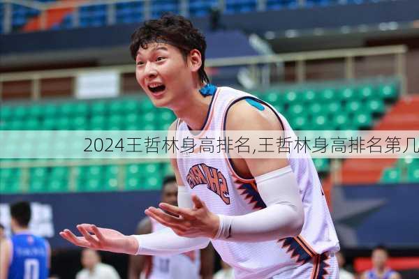 王哲林身高排名,王哲林身高排名第几