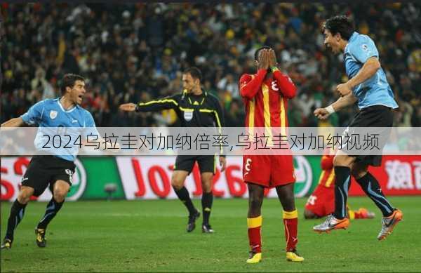 乌拉圭对加纳倍率,乌拉圭对加纳视频