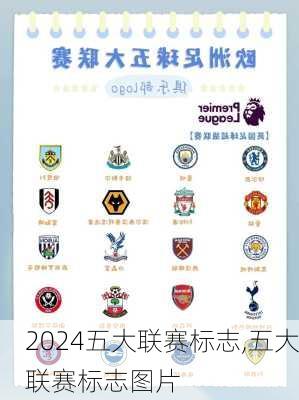 五大联赛标志,五大联赛标志图片