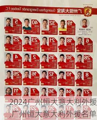 广州恒大意大利外援,广州恒大意大利外援名单