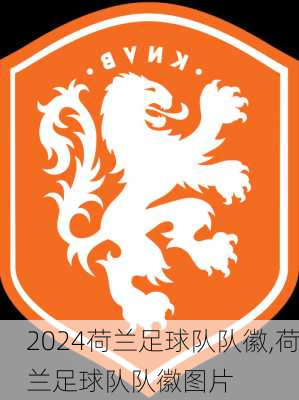 荷兰足球队队徽,荷兰足球队队徽图片